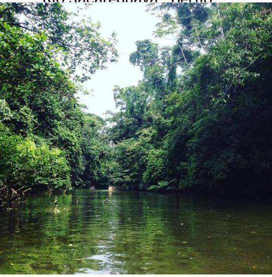 Suites Proximo Ao Rio Jaguareguava Em بيرتيوغا المظهر الخارجي الصورة